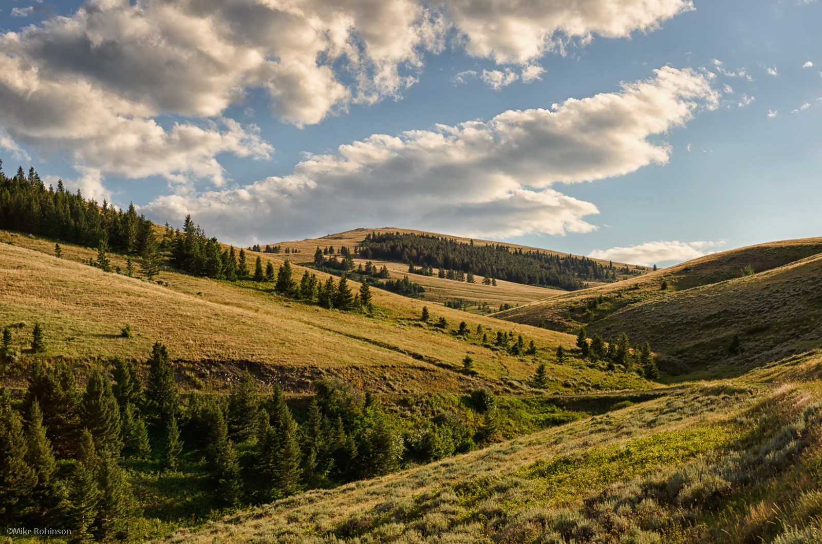 Indigenous landscape
